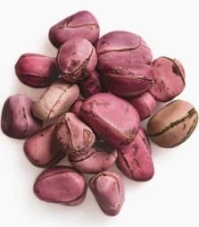Obi (Kola Nuts)